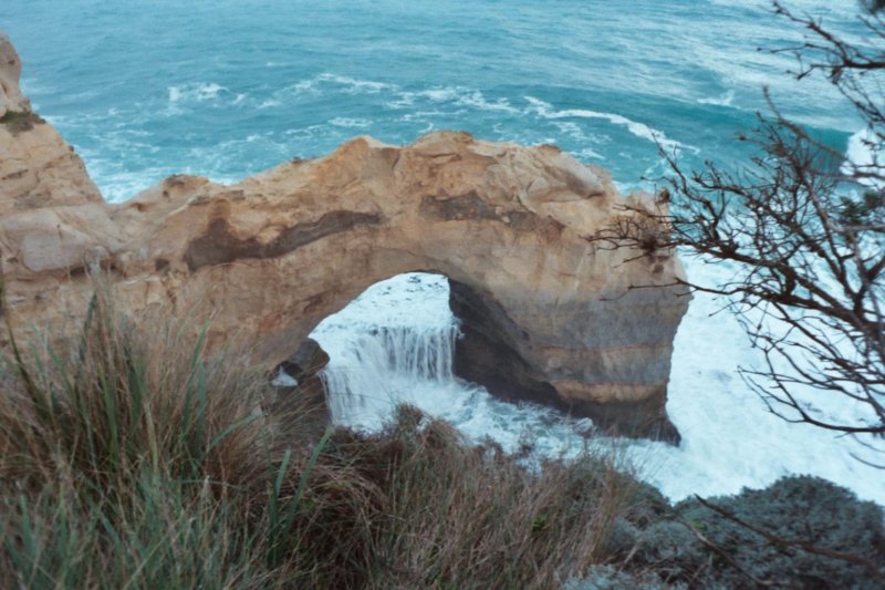 Photograph