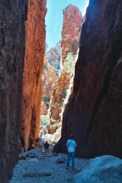 Photograph