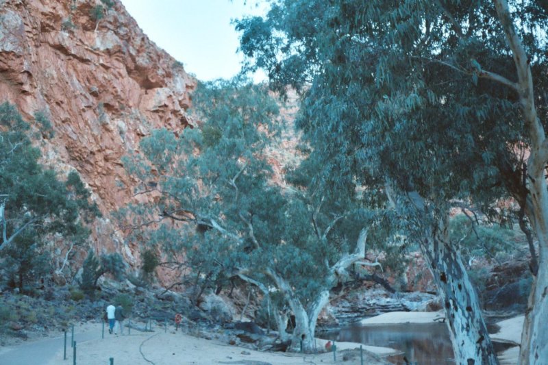 Photograph