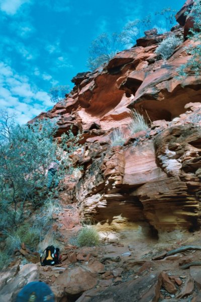Photograph