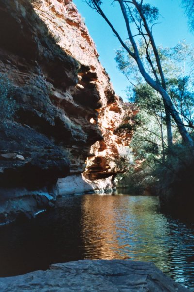 Photograph