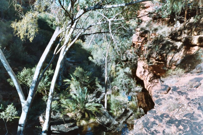 Photograph