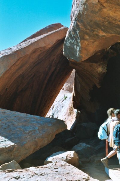 Photograph