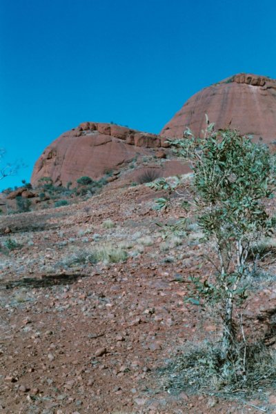 Photograph