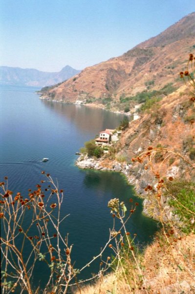 Photograph