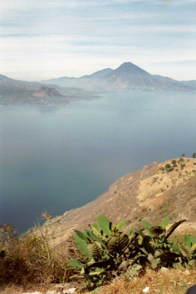 Photograph