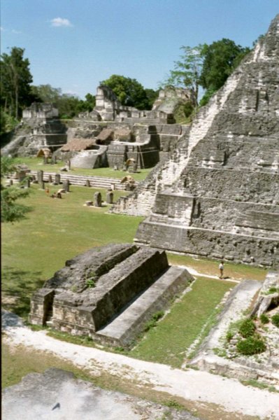 Photograph